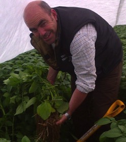 Matt Gregory, Greenwell Estates